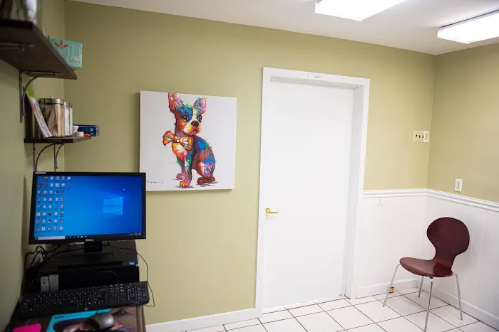 Valley Veterinary Hospital Picture 3