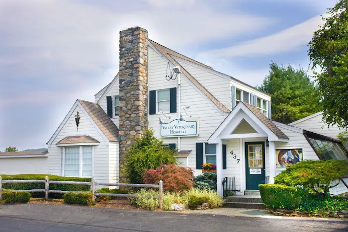 Valley Veterinary Hospital Picture 6