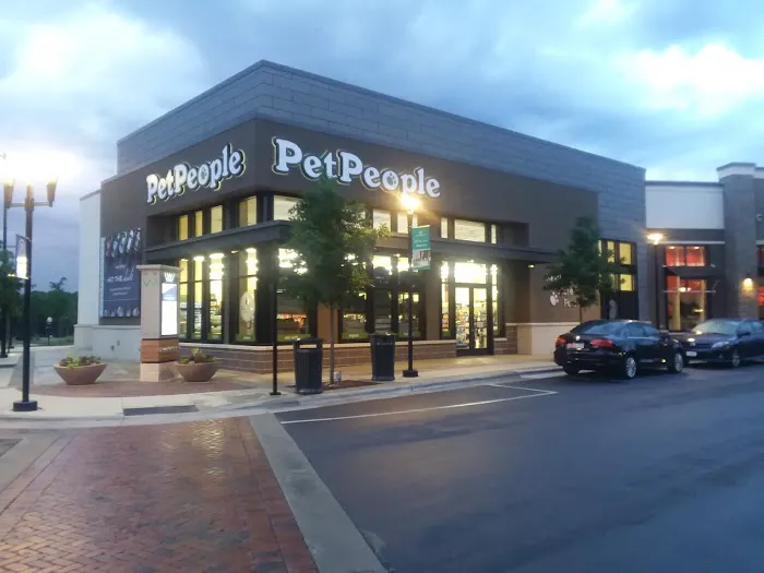 Hollywood Feed Picture 6