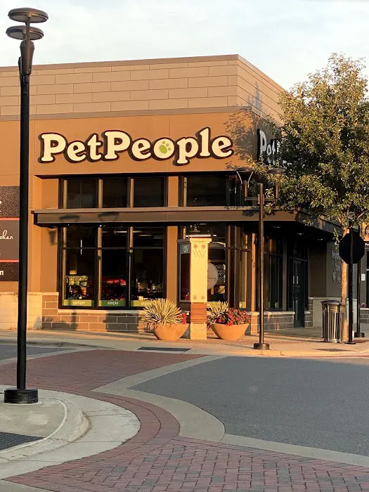 Hollywood Feed Picture 7