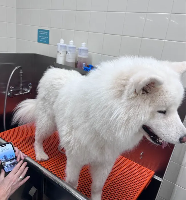 Hollywood Feed Picture 8