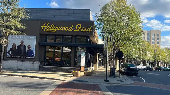 Hollywood Feed Picture 3