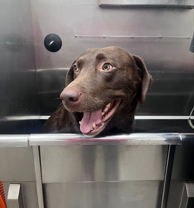 Hollywood Feed Picture 5