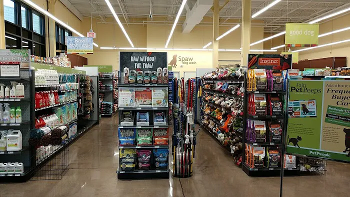 Hollywood Feed Picture 2