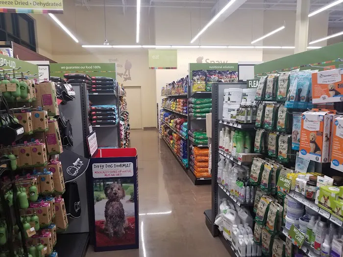 Hollywood Feed Picture 9