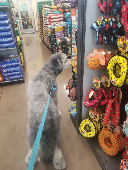 Hollywood Feed Picture 1