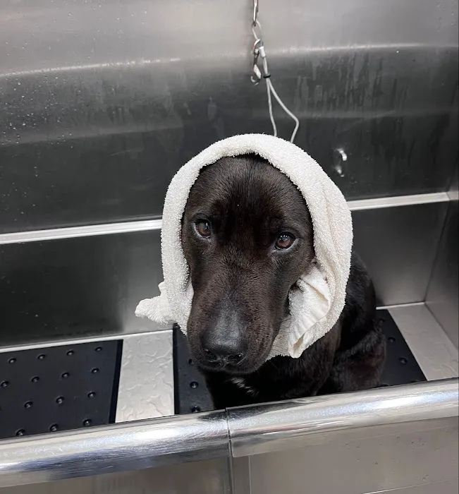 Hollywood Feed Picture 4