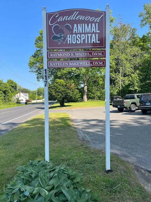 Candlewood Animal Hospital Picture 4