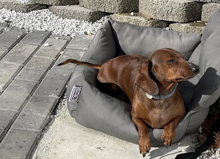 Candlewood Animal Hospital Picture 1