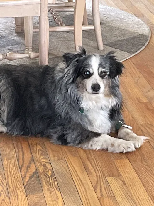 Candlewood Animal Hospital Picture 7