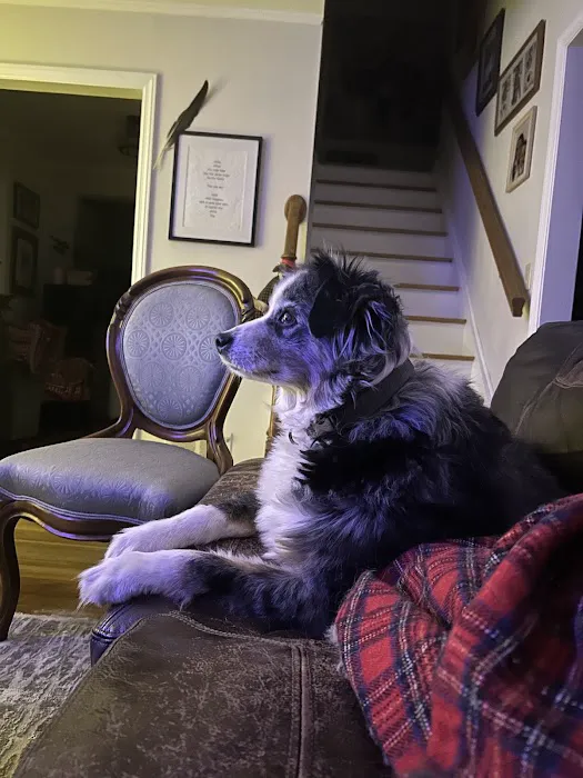 Candlewood Animal Hospital Picture 6