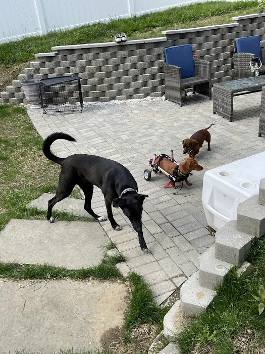 Candlewood Animal Hospital Picture 3