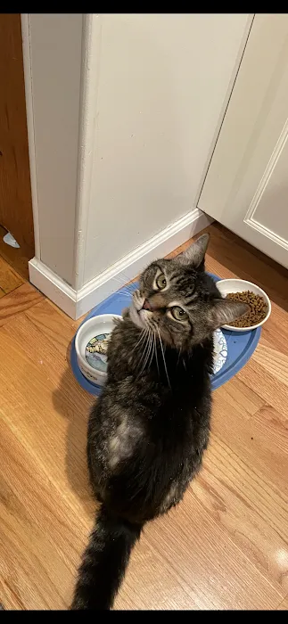 Candlewood Animal Hospital Picture 9