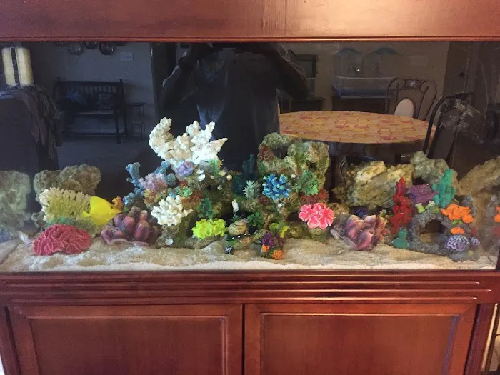 Under The Sea Aquarium Marketplace Picture 4