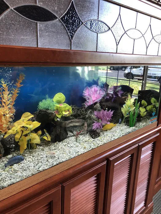 Under The Sea Aquarium Marketplace Picture 7