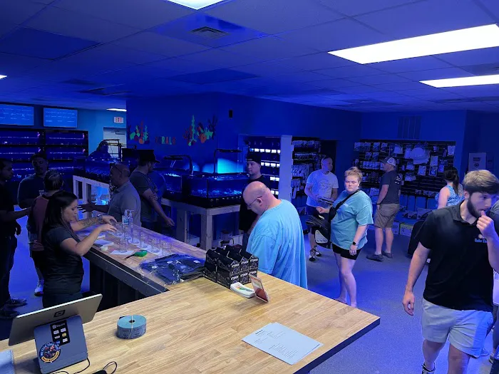 Under The Sea Aquarium Marketplace Picture 6