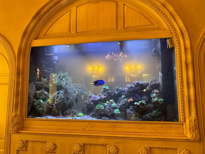 Under The Sea Aquarium Marketplace Picture 8