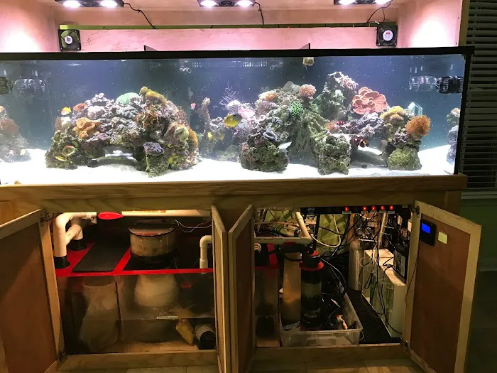 Under The Sea Aquarium Marketplace Picture 2