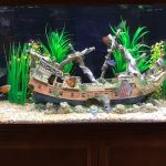Under The Sea Aquarium Marketplace