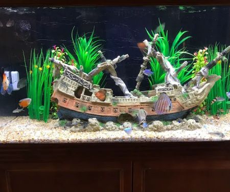 Under The Sea Aquarium Marketplace