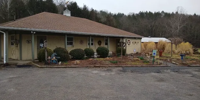 Paws and Paddle Canine Conditioning Picture 4