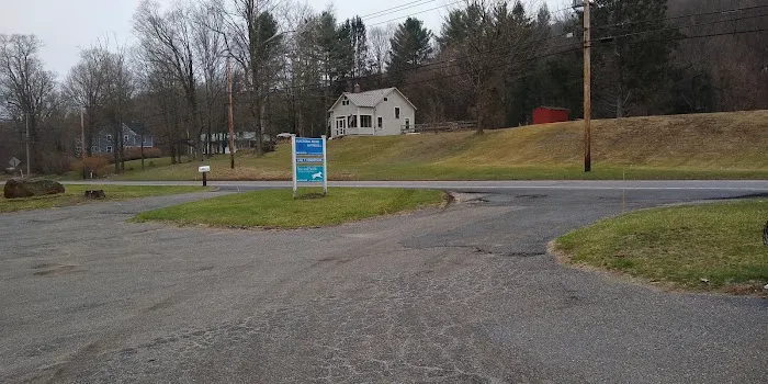 Paws and Paddle Canine Conditioning Picture 2