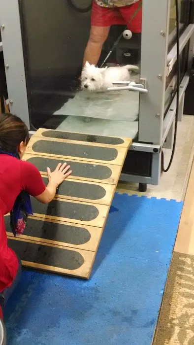 Paws and Paddle Canine Conditioning Picture 3