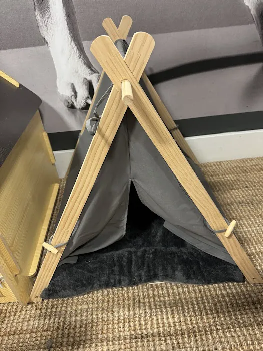 Canine Culture Picture 1