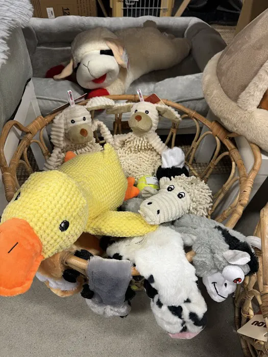 Canine Culture Picture 2