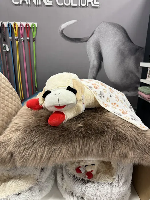 Canine Culture Picture 3