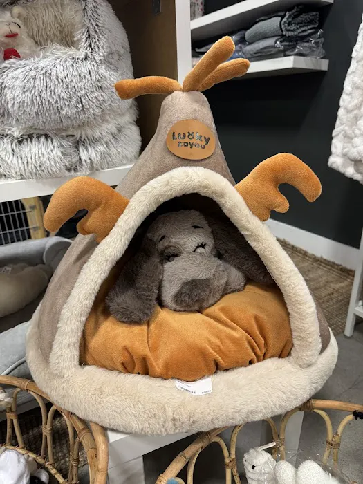 Canine Culture Picture 5