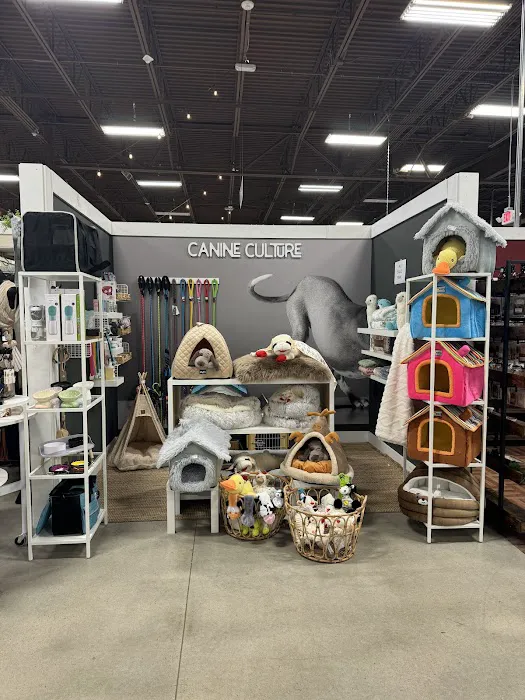 Canine Culture Picture 6