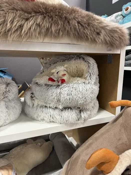 Canine Culture Picture 7