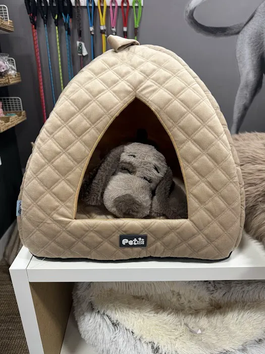 Canine Culture Picture 8