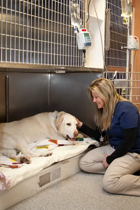 Aspetuck Animal Hospital Picture 3