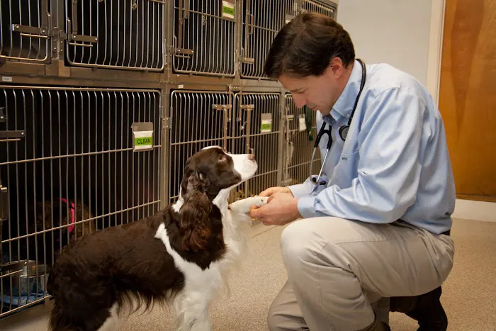 Aspetuck Animal Hospital Picture 2