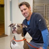 Aspetuck Animal Hospital ico