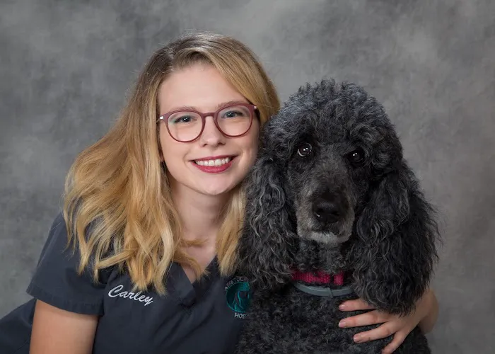 Aspetuck Animal Hospital Picture 10