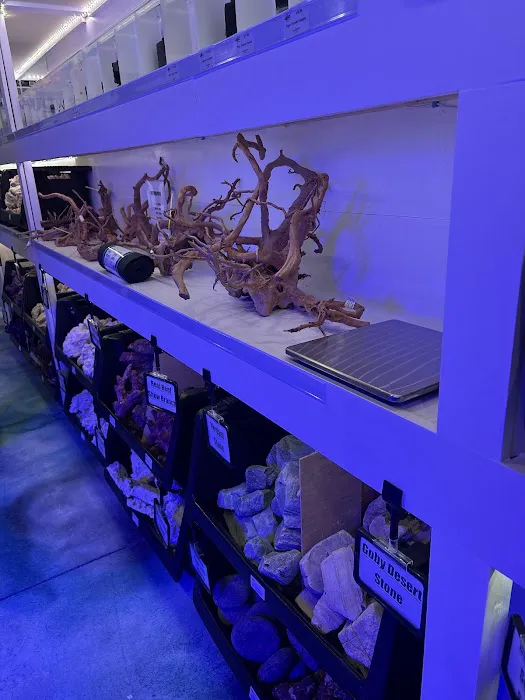 CMACS Aquarium Picture 3