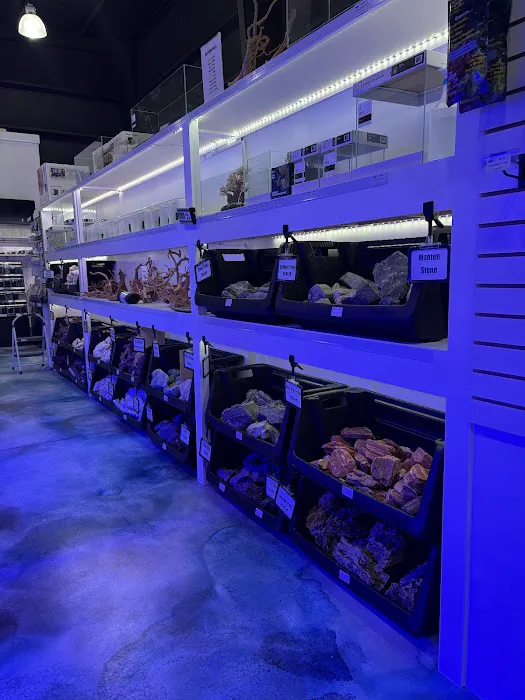 CMACS Aquarium Picture 5