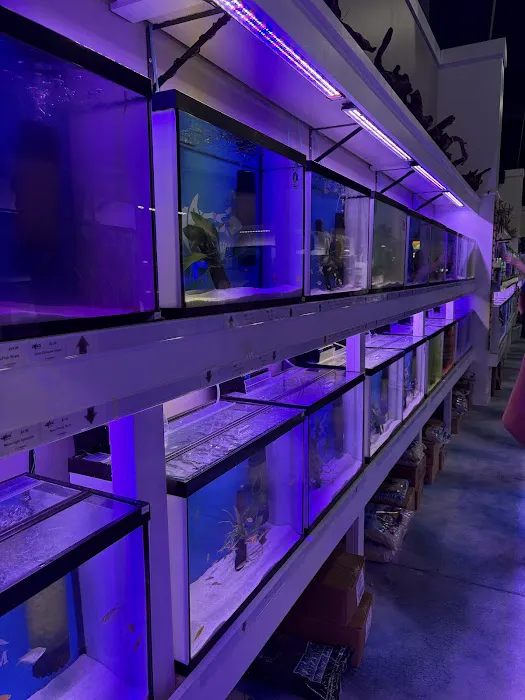 CMACS Aquarium Picture 4