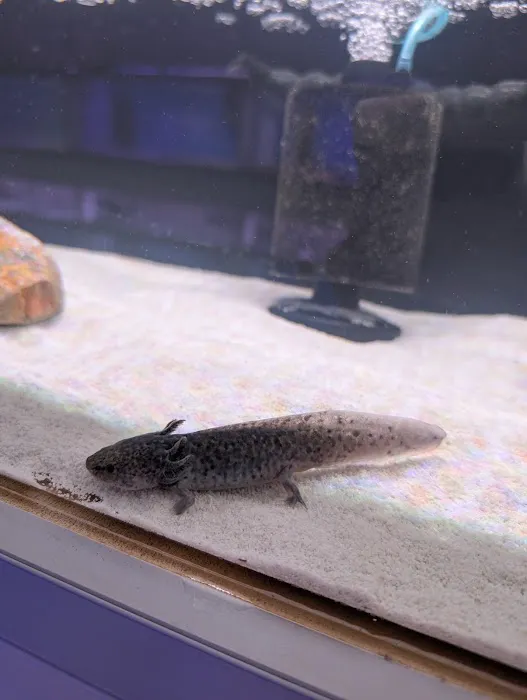 CMACS Aquarium Picture 8