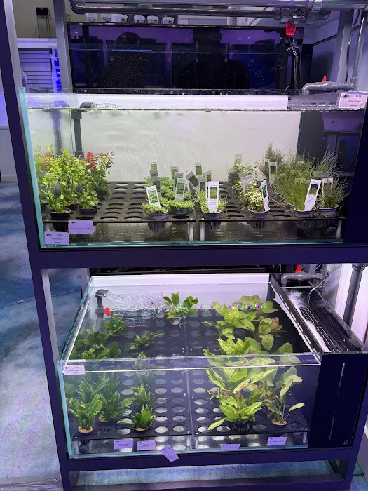 CMACS Aquarium Picture 9