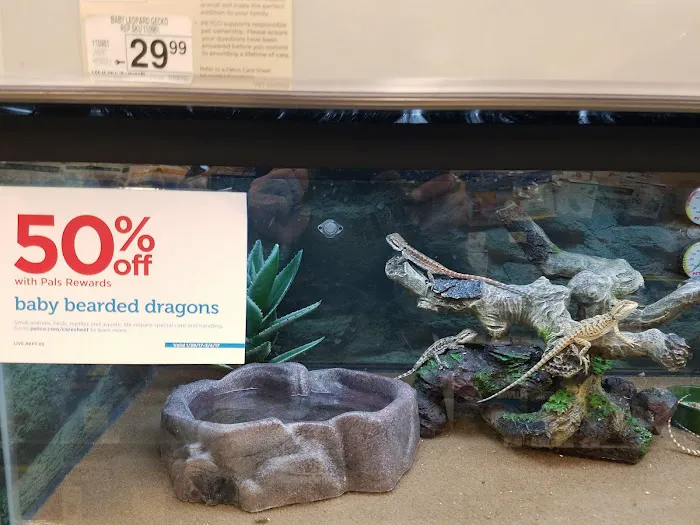 Petco Picture 7