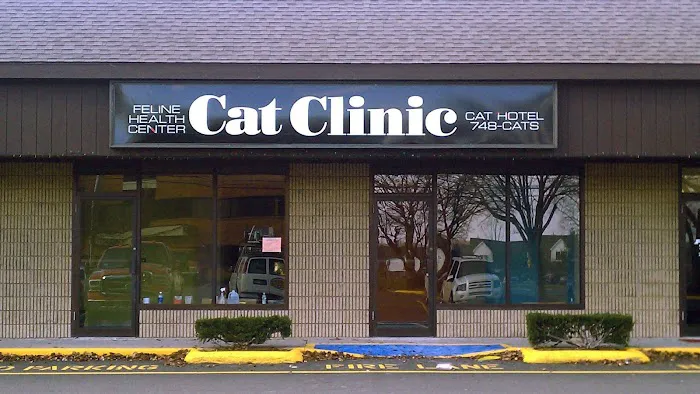 Cat Clinic Feline Health Center Picture 6