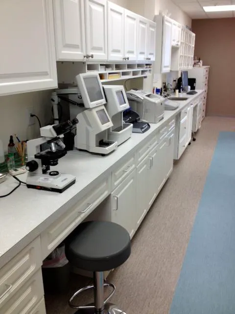 Cat Clinic Feline Health Center Picture 5