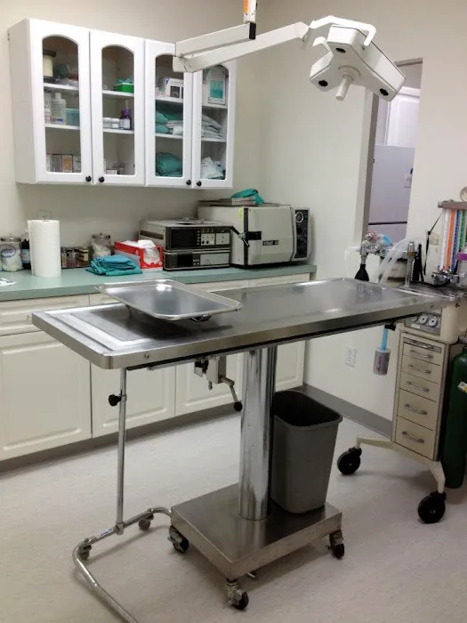 Cat Clinic Feline Health Center Picture 8