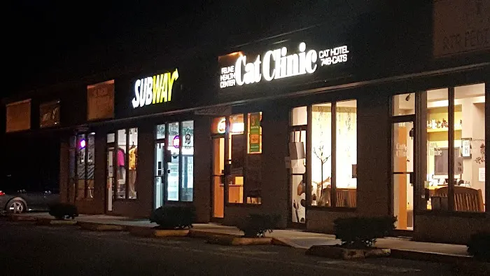 Cat Clinic Feline Health Center Picture 7