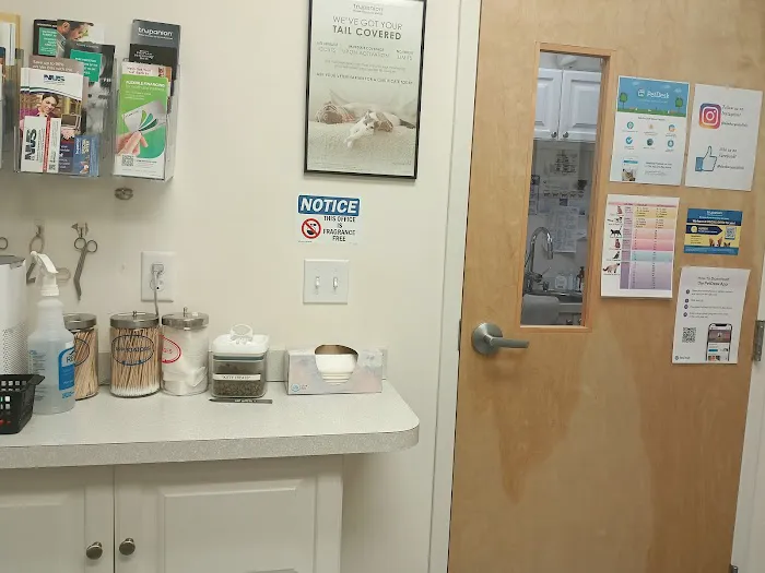 Cat Clinic Feline Health Center Picture 3