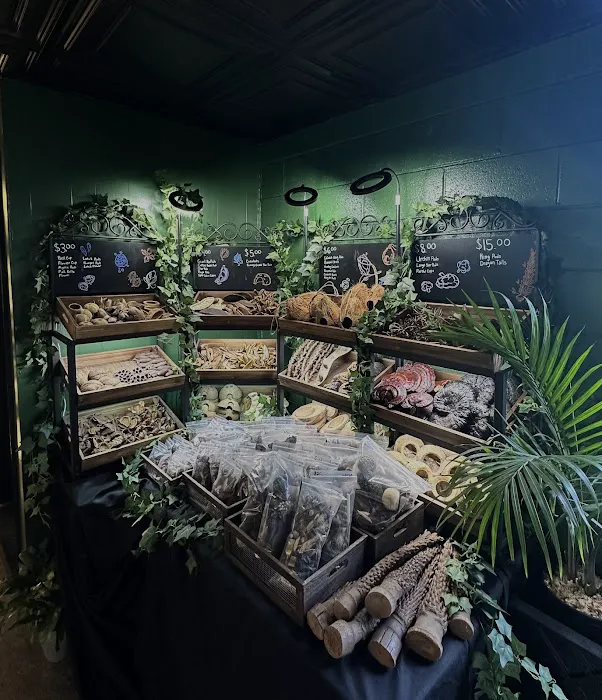 FROGDADDY LLC Picture 6